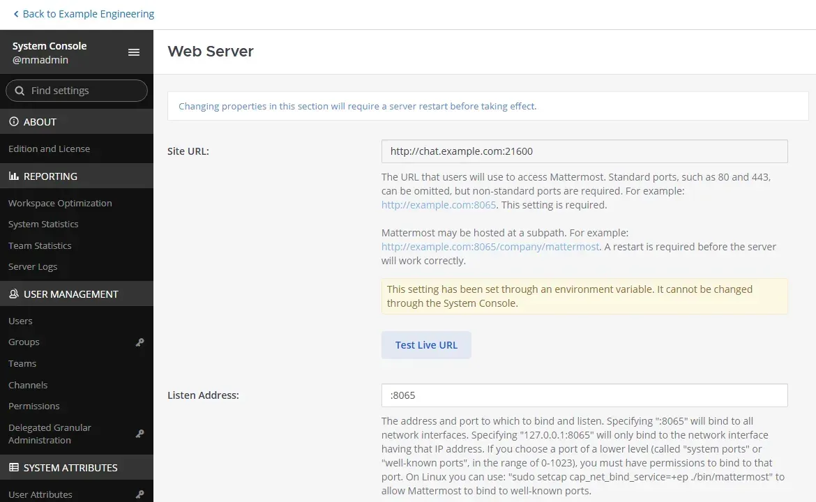 صفحة Web Server في System Console مع Site URL مقفلاً لأنه مضبوط بمتغير بيئة