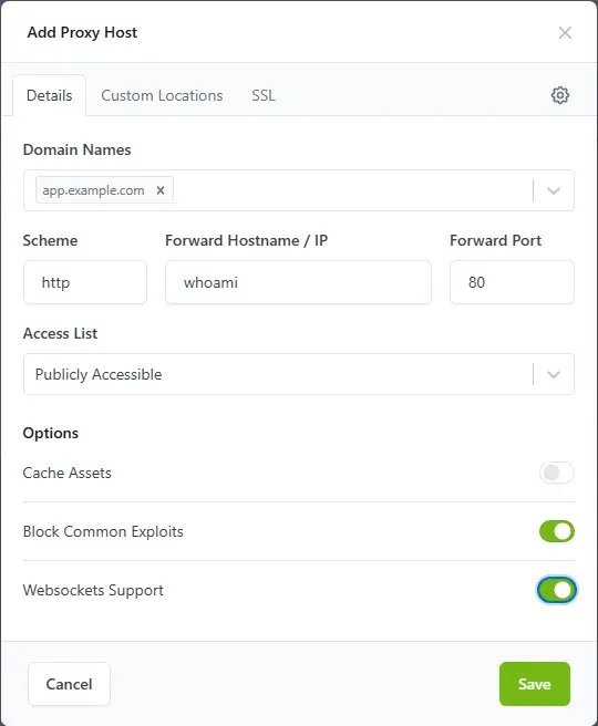 تبويب Details في نافذة Add Proxy Host مع النطاق واسم الـ Container والمنفذ