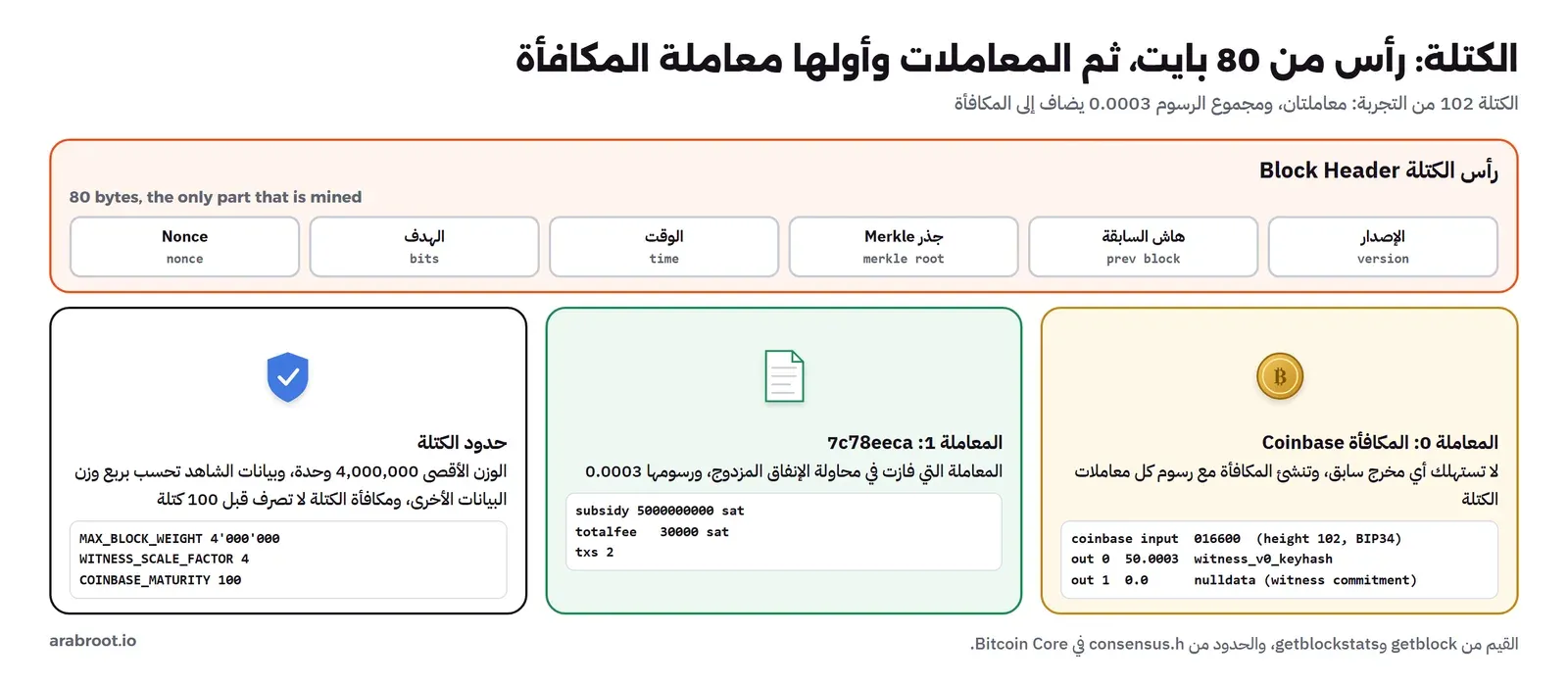 رأس الكتلة من 80 بايت بستة حقول: الإصدار وهاش السابقة وجذر Merkle والوقت والهدف وNonce، وتحته ثلاث بطاقات: معاملة المكافأة في الكتلة 102 بمدخل 016600 أي الارتفاع 102 حسب BIP34 ومخرج 50.0003 ومخرج nulldata لالتزام الشاهد، ثم المعاملة 7c78eeca برسوم 0.0003 مع subsidy 5000000000 وtotalfee 30000، ثم حدود الكتلة: MAX_BLOCK_WEIGHT أربعة ملايين وWITNESS_SCALE_FACTOR 4 وCOINBASE_MATURITY 100