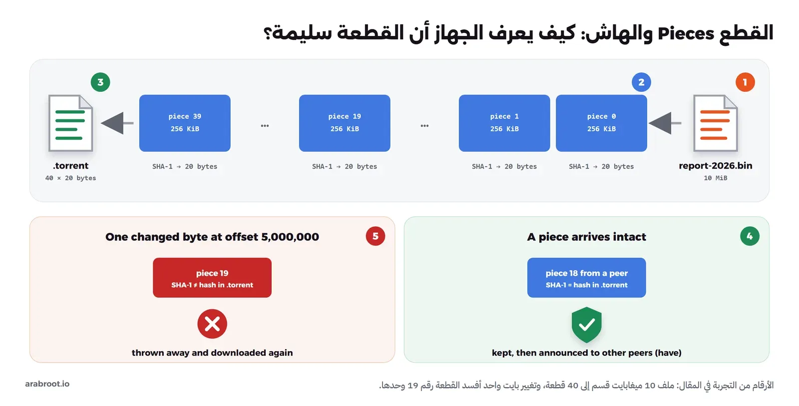 مخطط مرقم: الملف report-2026.bin بحجم 10 ميغابايت يقسم إلى قطع piece 0 وpiece 1 حتى piece 39 كل منها 256 كيلوبايت، ولكل قطعة هاش SHA-1 طوله 20 بايت، وكل الهاشات تحفظ في ملف .torrent بحجم 40 في 20 بايت، وتحتها حالتان: قطعة سليمة يطابق هاشها ما في الملف فتحفظ وتعلن للآخرين، وقطعة رقم 19 فيها بايت تغير عند الموقع 5000000 فلا يطابق هاشها فترمى وتحمل من جديد