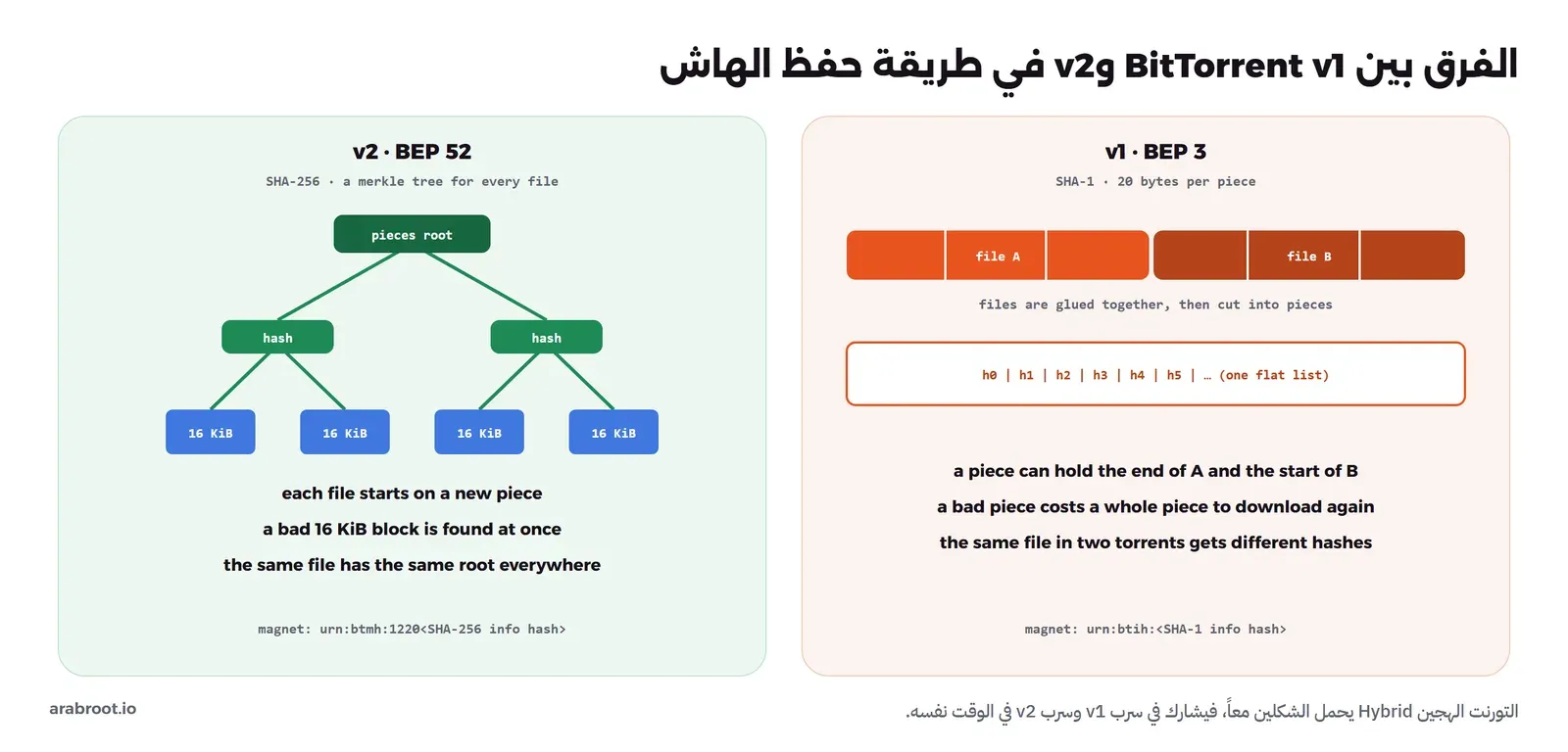 مقارنة: على اليمين v1 حسب BEP 3 بهاش SHA-1 طوله 20 بايت لكل قطعة، والملفات A وB تلصق ثم تقطع فقد تحمل قطعة نهاية A وبداية B، والهاشات قائمة واحدة مسطحة، ورابط magnet بالشكل urn:btih، وعلى اليسار v2 حسب BEP 52 بهاش SHA-256 وشجرة Merkle لكل ملف أوراقها أجزاء 16 كيلوبايت وفوقها pieces root، فكل ملف يبدأ بقطعة جديدة، والجزء الفاسد يكتشف فوراً، والملف نفسه له الهاش الرئيسي pieces root نفسه في كل تورنت، ورابط magnet بالشكل urn:btmh:1220