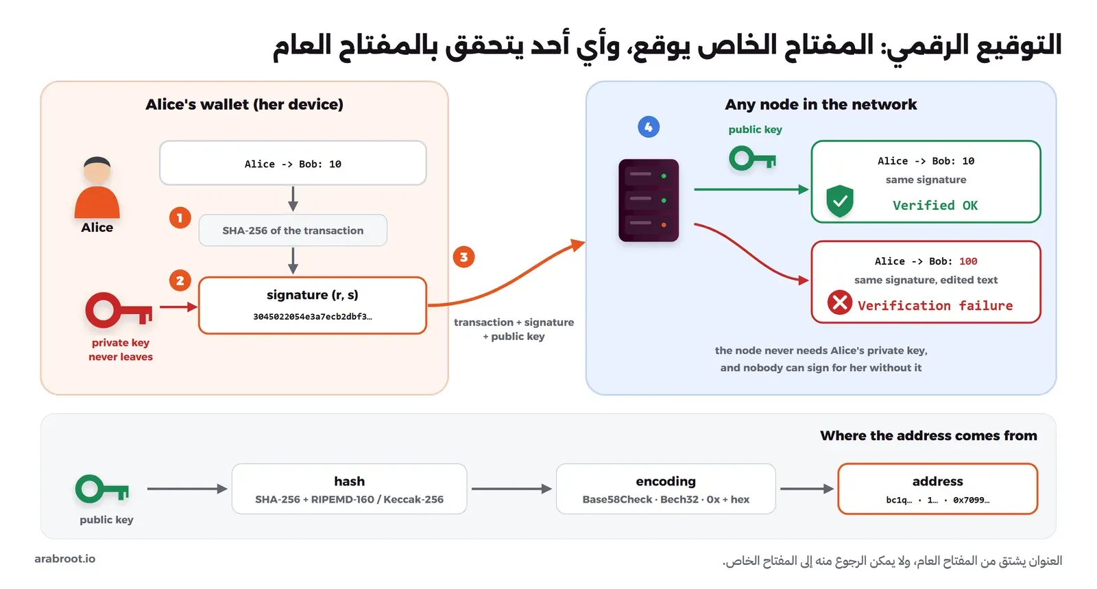 مخطط بأربع خطوات: في محفظة Alice يحسب هاش SHA-256 للمعاملة ثم يوقع بالمفتاح الخاص الأحمر الذي لا يغادر الجهاز فينتج التوقيع r وs، ثم ترسل المعاملة مع التوقيع والمفتاح العام إلى الشبكة، وفي العقدة يتحقق المفتاح العام الأخضر فتظهر Verified OK للمعاملة الأصلية وVerification failure للمعاملة المعدلة إلى 100، وفي الأسفل سلسلة تبين أن العنوان هو هاش المفتاح العام ثم ترميزه بأحد الترميزات Base58Check أو Bech32 أو 0x مع Hex