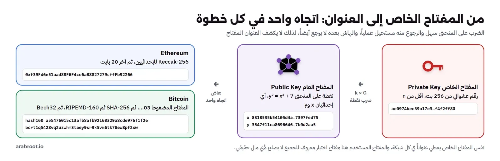 مسار من اليمين إلى اليسار: المفتاح الخاص ac0974bec39a17e3 رقم عشوائي من 256 بت، ثم ضرب النقطة k في G فينتج المفتاح العام بإحداثيين x يبدأ بـ 8318535b وy يبدأ بـ 3547f11c على المنحنى y تربيع يساوي x تكعيب زائد 7، ثم هاش باتجاه واحد إلى بطاقتين: Ethereum حيث Keccak-256 للإحداثيين وآخر 20 بايت تعطي 0xf39Fd6e51aad88F6F4ce6aB8827279cffFb92266، وBitcoin حيث المفتاح المضغوط ثم SHA-256 ثم RIPEMD-160 تعطي hash160 a55476015c13 ثم Bech32 تعطي bcrt1q5428vq2uzwhm3taey9sr9x5vm6tk78ew8pf2xw