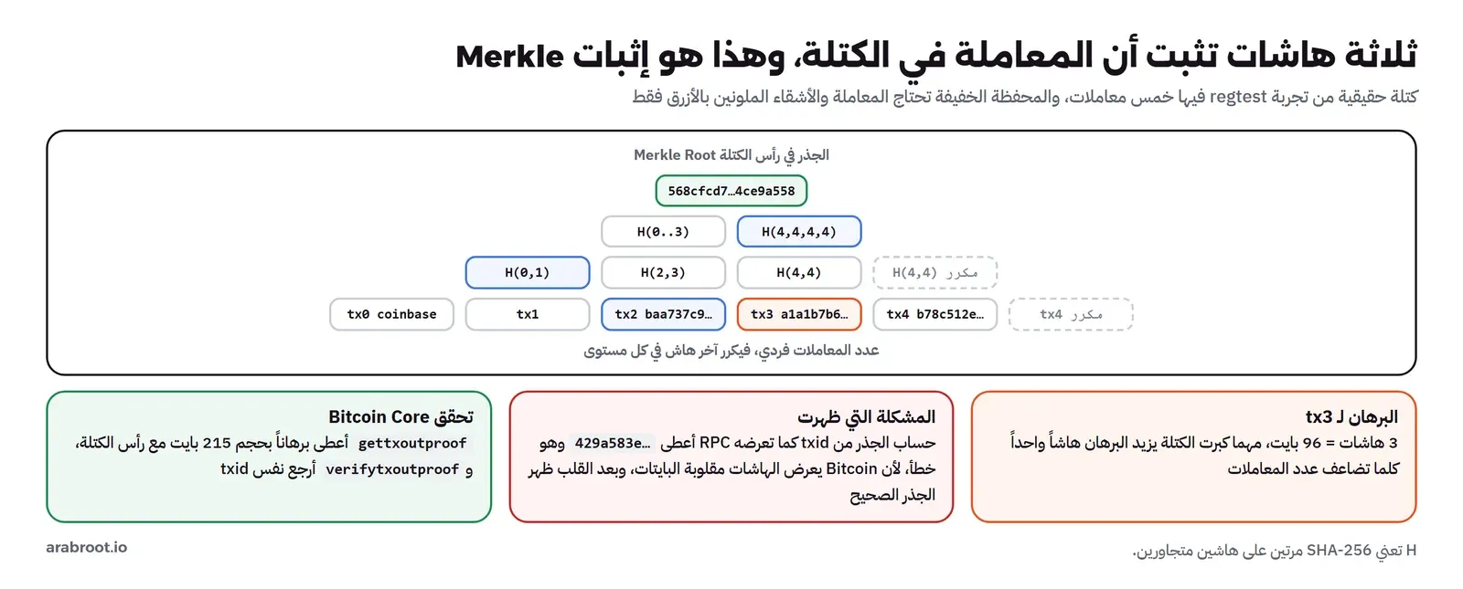 شجرة Merkle لكتلة فيها خمس معاملات: في الأسفل tx0 المكافأة وtx1 وtx2 وtx3 وtx4 ونسخة مكررة من tx4، ثم H(0,1) وH(2,3) وH(4,4) ونسخة مكررة منها، ثم H(0..3) وH(4,4,4,4)، ثم الجذر 568cfcd7، والمعاملة tx3 بلون برتقالي وأشقاؤها tx2 وH(0,1) وH(4,4,4,4) بلون أزرق، وتحت الشجرة ثلاث بطاقات: البرهان 3 هاشات بحجم 96 بايت، والمشكلة التي ظهرت أن الحساب من txid كما تعرضه RPC أعطى جذراً خاطئاً حتى قلبنا البايتات، وتحقق Bitcoin Core ببرهان حجمه 215 بايت