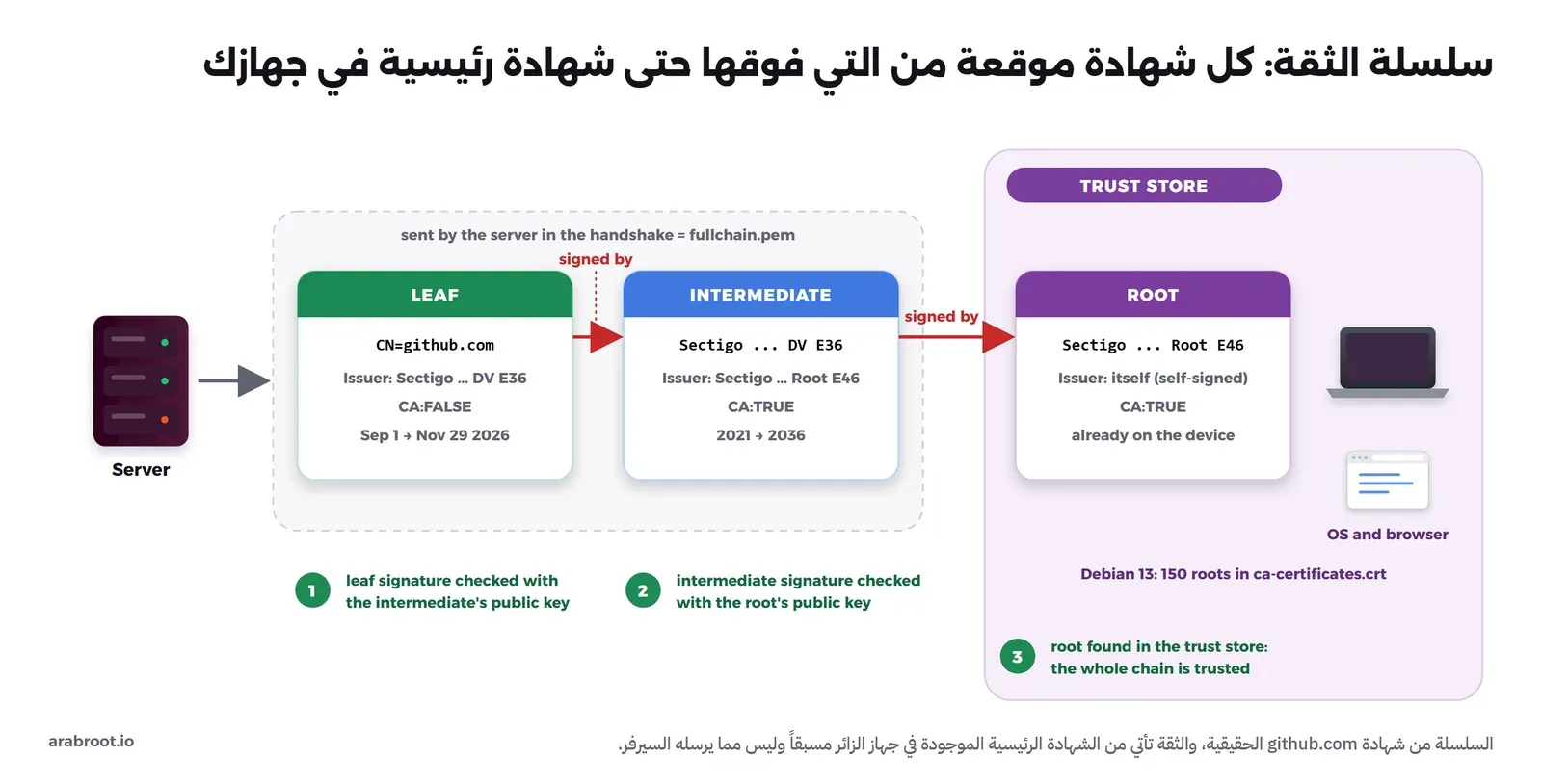 ثلاث بطاقات شهادات متتالية: شهادة النطاق github.com موقعة من الشهادة الوسيطة Sectigo DV E36، والوسيطة موقعة من الشهادة الرئيسية، والشهادة الرئيسية موجودة داخل مخزن الثقة في نظام التشغيل والمتصفح، والسيرفر يرسل الشهادتين الأوليين معاً، والكلاينت يتحقق من التوقيعات صعوداً بخطوات مرقمة
