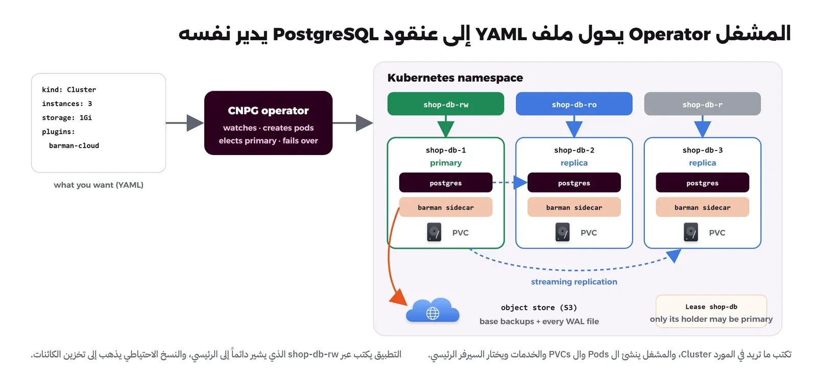ملف YAML فيه kind Cluster وinstances 3 وstorage 1Gi وplugin barman-cloud يقرؤه مشغل CNPG الذي يراقب وينشئ ال Pods ويختار السيرفر الرئيسي، وفي ال Namespace ثلاث خدمات shop-db-rw تشير إلى الرئيسي وshop-db-ro إلى النسخ وshop-db-r إلى أي نسخة، وثلاثة Pods: shop-db-1 رئيسي وshop-db-2 وshop-db-3 نسخ متماثلة، في كل منها حاوية postgres وsidecar لBarman وقرص PVC، والنسخ المتماثل Streaming Replication من الرئيسي إلى النسختين، والرئيسي يرسل النسخ الاحتياطية وكل ملفات WAL إلى تخزين كائنات S3، وعقد إيجار Lease باسم shop-db لا يكون رئيسياً إلا من يملكه