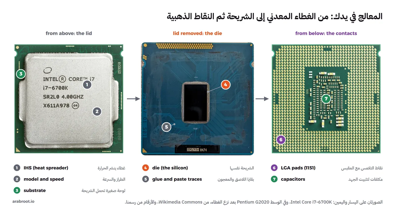 ثلاث صور حقيقية لمعالجات: على اليسار معالج Core i7-6700K من الأعلى بغطائه المعدني الفضي ومكتوب عليه الطراز والسرعة 4.00GHz، وفي الوسط معالج Pentium G2020 بعد نزع غطائه تظهر في وسطه شريحة سوداء مستطيلة صغيرة وحولها بقايا اللاصق، وعلى اليمين المعالج نفسه من الأسفل مغطى بمئات النقاط الذهبية وفي وسطه مكثفات صغيرة، مع أرقام من 1 إلى 7 تشير إلى كل جزء