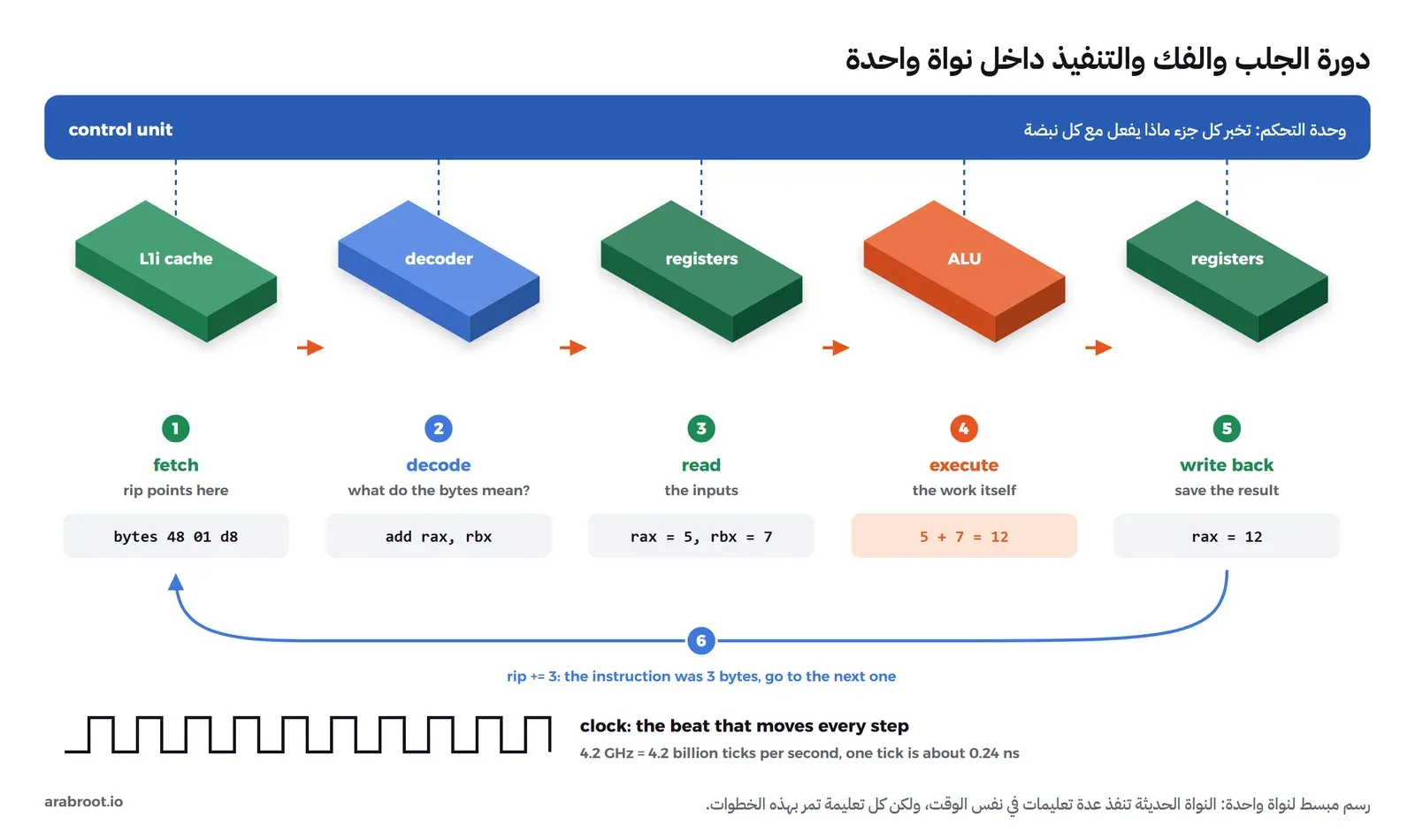 خمسة أجزاء من النواة مرسومة ككتل متساوية القياس في صف واحد تحت شريط أزرق يمثل وحدة التحكم: ذاكرة التعليمات L1i ثم مفكك التعليمات ثم المسجلات ثم وحدة الحساب ALU ثم المسجلات مرة أخرى، وتحت كل منها رقم الخطوة وما يحدث فيها: جلب البايتات 48 01 d8، ثم فكها إلى add rax, rbx، ثم قراءة rax = 5 وrbx = 7، ثم حساب 5 + 7 = 12، ثم كتابة rax = 12، وسهم أزرق يعود من النهاية إلى البداية برقم 6 مكتوب عليه rip += 3، وفي الأسفل موجة مربعة تمثل الساعة بسرعة 4.2 GHz