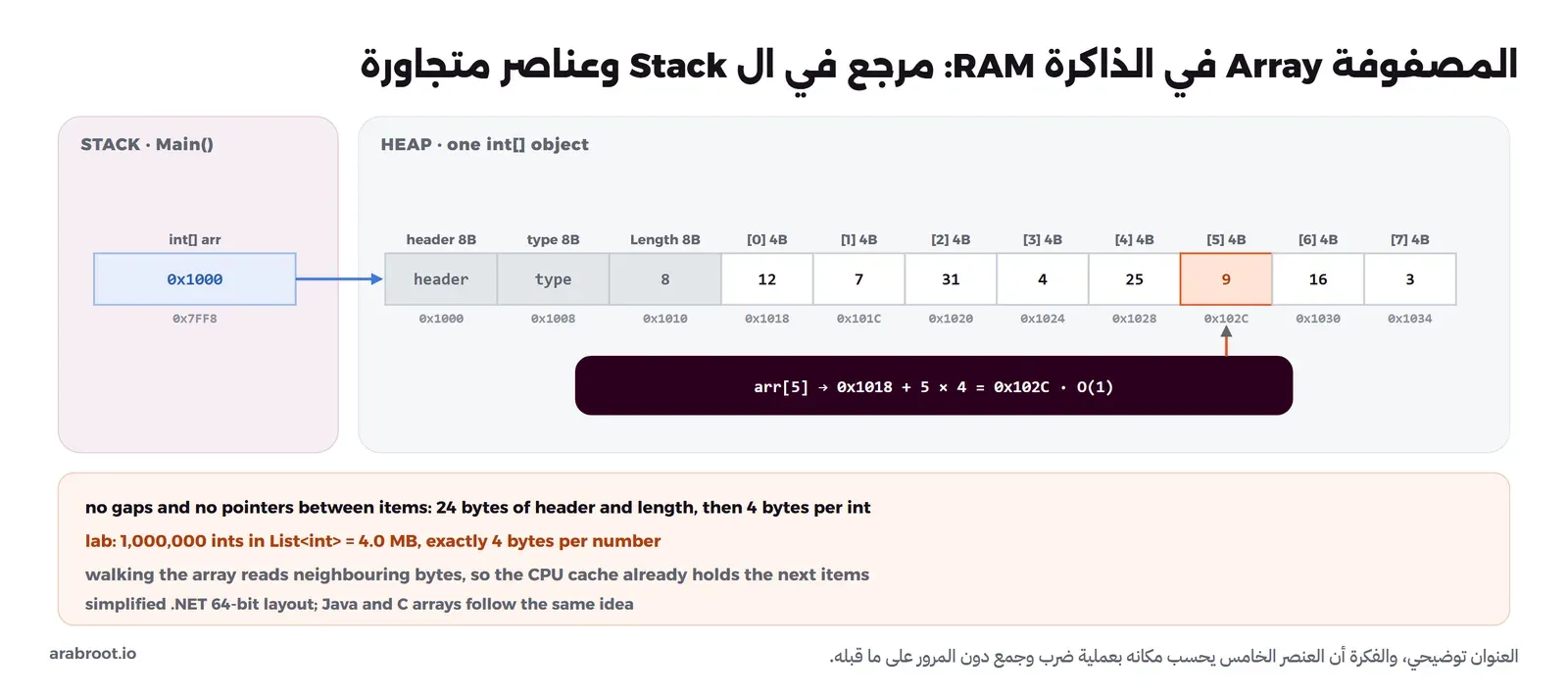 مصفوفة من ثمانية أعداد في الذاكرة: في ال Stack متغير arr يحمل العنوان 0x1000، وفي ال Heap كتلة واحدة تبدأ بترويسة الكائن ثم مؤشر النوع ثم الطول 8 ثم الأعداد بعناوين متتالية بفارق أربعة بايتات من 0x1018 إلى 0x1034، وصندوق يحسب عنوان arr[5] بأنه 0x1018 زائد 5 ضرب 4 يساوي 0x102C، وتحتها ملاحظة أن مليون عدد أخذ 4.0 MB في التجربة