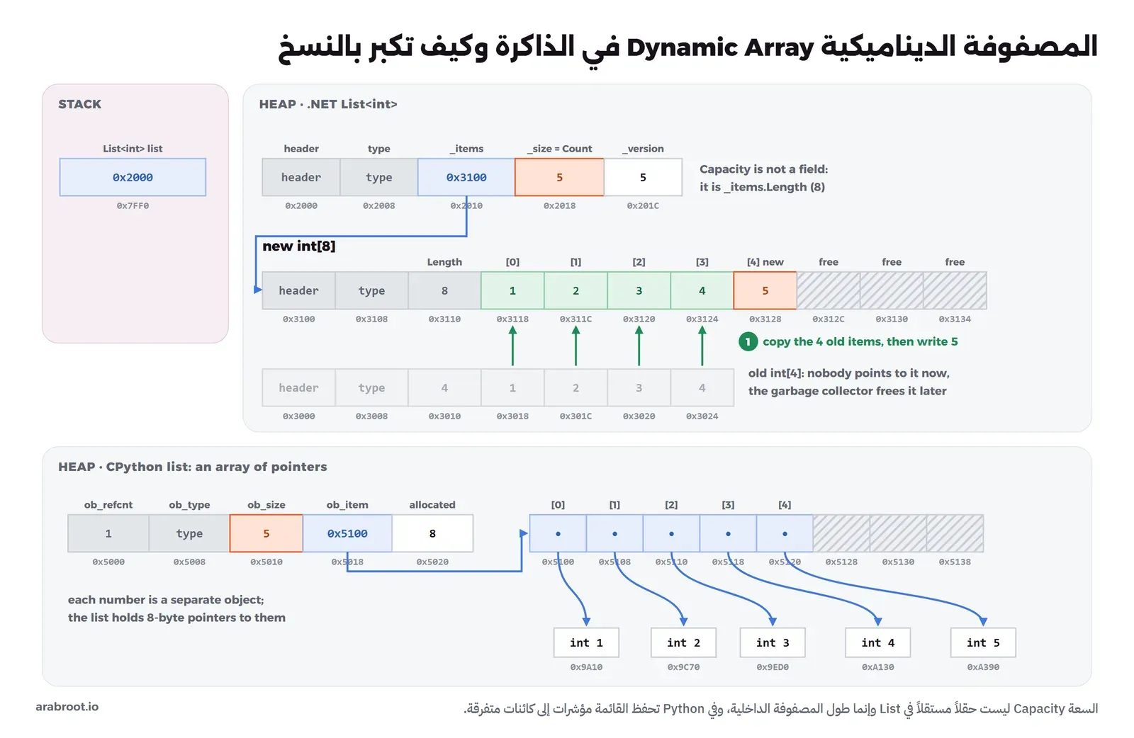 كائن List في ال Heap فيه ترويسة ونوع والحقل _items الذي يشير إلى مصفوفة جديدة بسعة ثمانية عناصر والحقل _size بقيمة 5، والمصفوفة القديمة بسعة أربعة رمادية تنسخ عناصرها الأربعة بأسهم خضراء إلى الجديدة ثم يتركها جامع القمامة، وتحتها قائمة Python فيها ob_size وob_item وallocated تشير إلى مصفوفة مؤشرات يشير كل منها إلى كائن عدد مستقل في مكان آخر