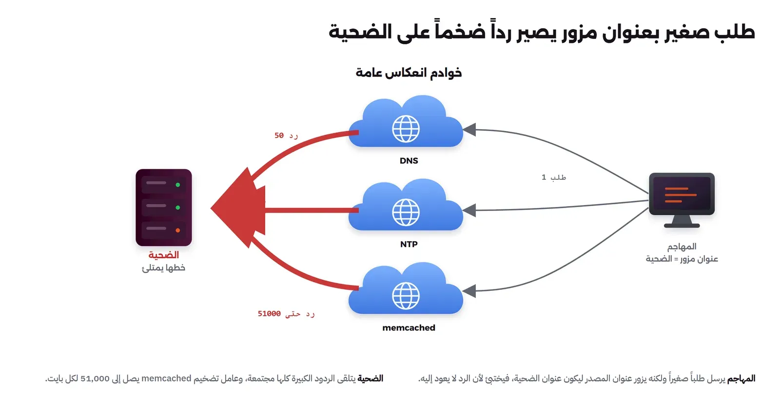المهاجم في اليمين يرسل طلباً صغيراً بحجم 1 إلى خوادم انعكاس عامة DNS وNTP وmemcached، ولكنه يزور عنوان المصدر ليكون عنوان الضحية. الخوادم ترد بردود ضخمة بحجم 50 إلى 51000 تتجه كلها إلى الضحية في اليسار فتغرق خطها، والمهاجم مختبئ لأن الرد لا يعود إليه