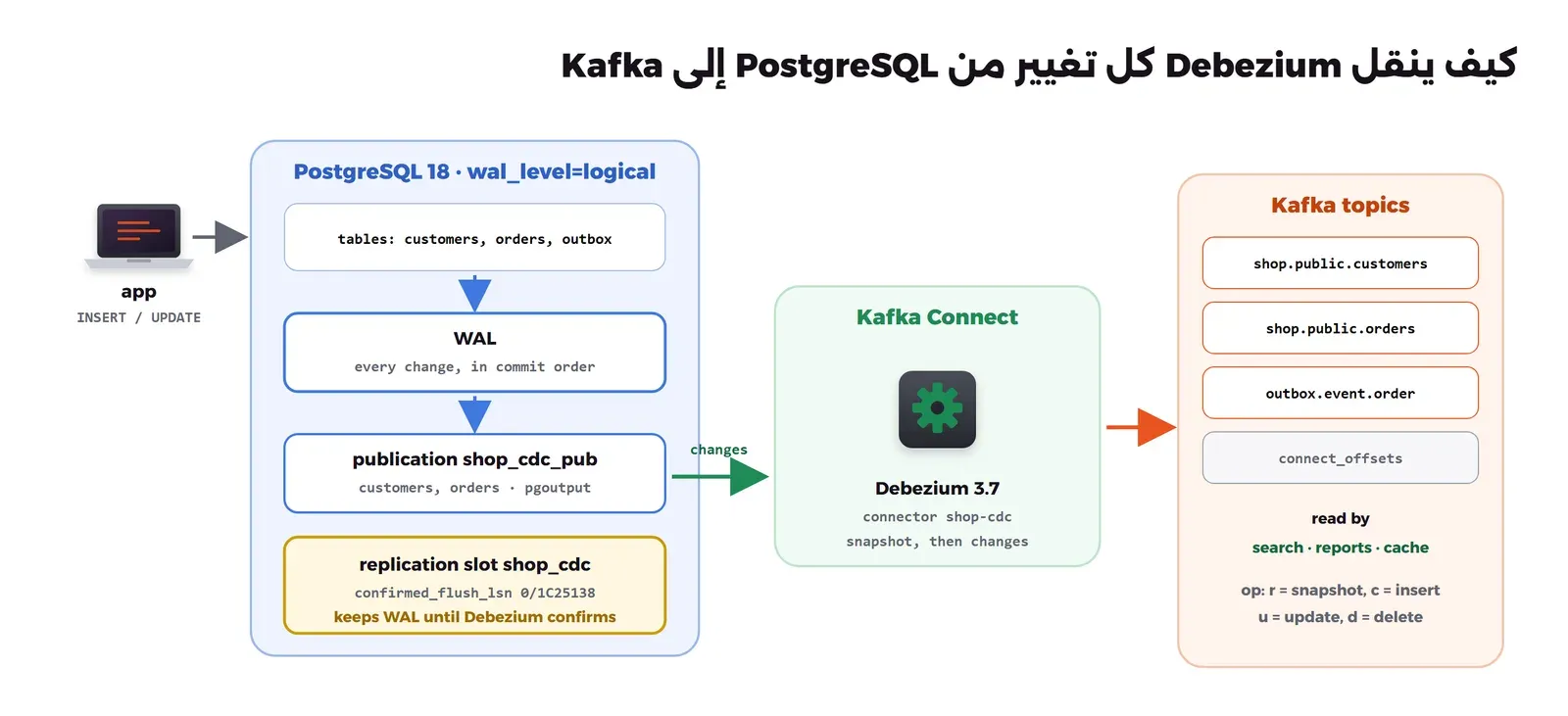 التطبيق يكتب في PostgreSQL، وكل تغيير يكتب في WAL. ال publication تحدد الجداول customers وorders، وال replication slot اسمه shop_cdc ويحفظ موقع القراءة confirmed_flush_lsn. يقرأ Debezium داخل Kafka Connect التغييرات عبر pgoutput، ويكتب الأحداث إلى المواضيع shop.public.customers وshop.public.orders، ويحفظ ال offset في الموضوع connect_offsets، ثم يقرأ البحث والتقارير وال cache من Kafka