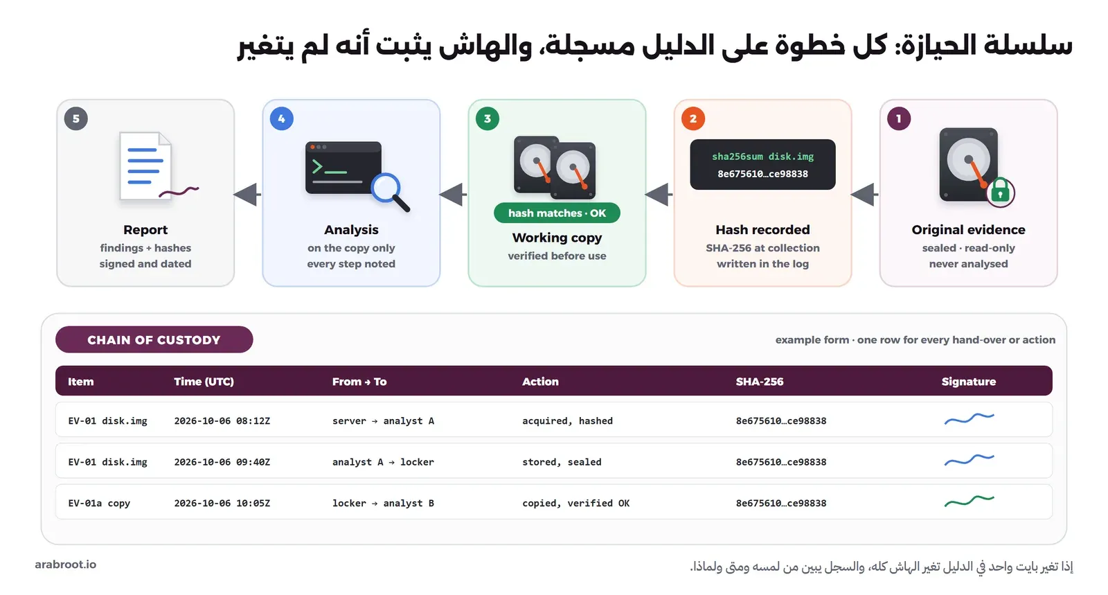 مخطط من خمس خطوات من اليمين إلى اليسار: الدليل الأصلي مغلق للقراءة فقط، ثم تسجيل هاش SHA-256 له، ثم نسخة عمل يتطابق هاشها مع الأصل، ثم التحليل على النسخة فقط، ثم تقرير موقع ومؤرخ، وتحته نموذج سجل سلسلة الحيازة فيه أعمدة رقم الدليل والوقت بتوقيت UTC ومن سلم ومن استلم والإجراء والهاش والتوقيع