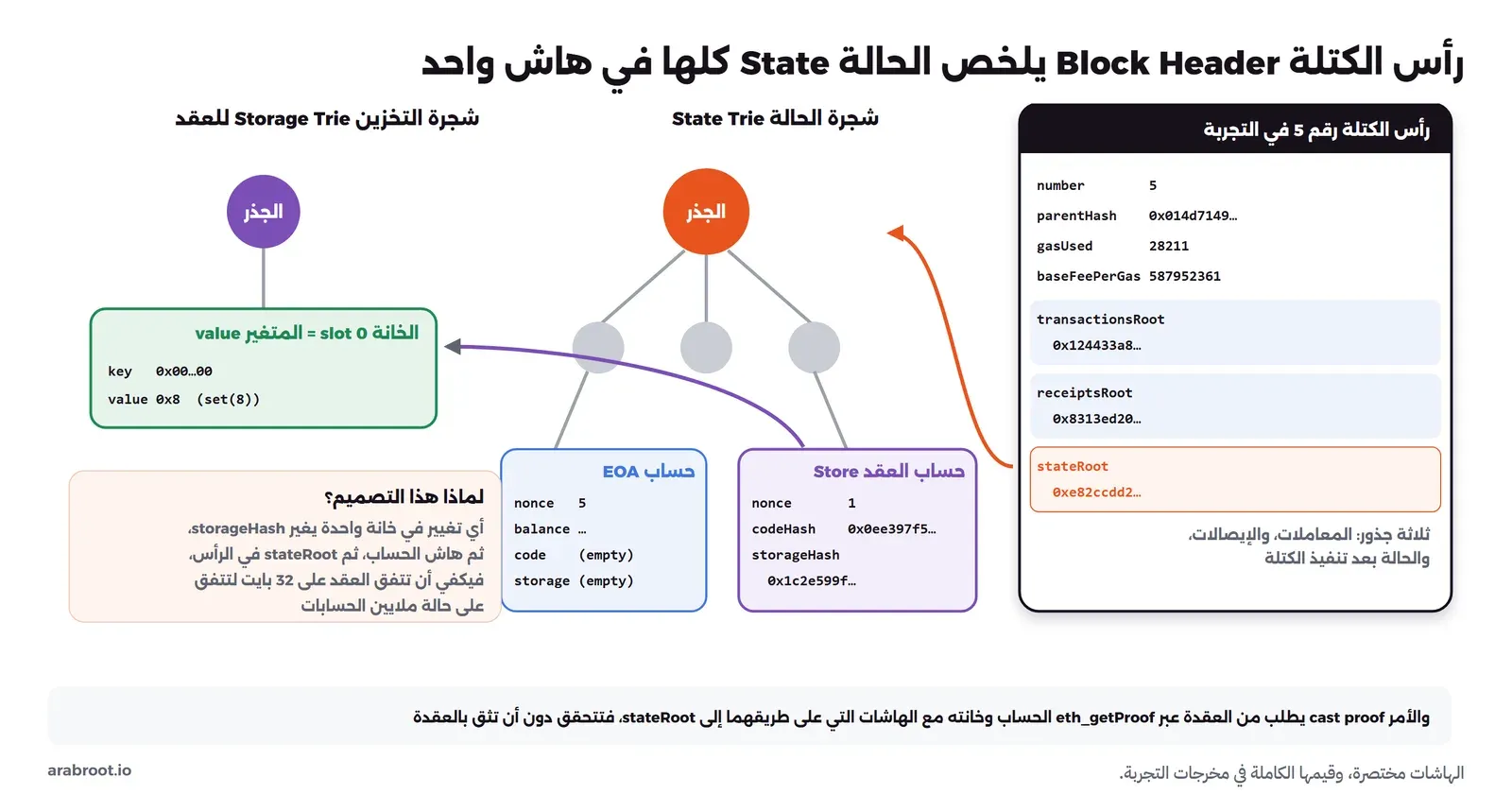 مخطط من ثلاثة أجزاء: على اليمين رأس الكتلة رقم 5 من التجربة بحقوله number وparentHash وgasUsed وbaseFeePerGas وثلاثة جذور transactionsRoot وreceiptsRoot وstateRoot الملون بالبرتقالي، وسهم من stateRoot إلى شجرة الحالة State Trie في الوسط بجذر وعقد وسطى وورقتين، حساب EOA بقيمة nonce 5 وكود وتخزين فارغين، وحساب العقد Store بقيمة nonce 1 وcodeHash وstorageHash 0x1c2e599f، وسهم من حساب العقد إلى شجرة التخزين على اليسار وفيها الخانة slot 0 بقيمة 0x8، وصندوق يشرح أن تغيير خانة واحدة يغير storageHash ثم هاش الحساب ثم stateRoot