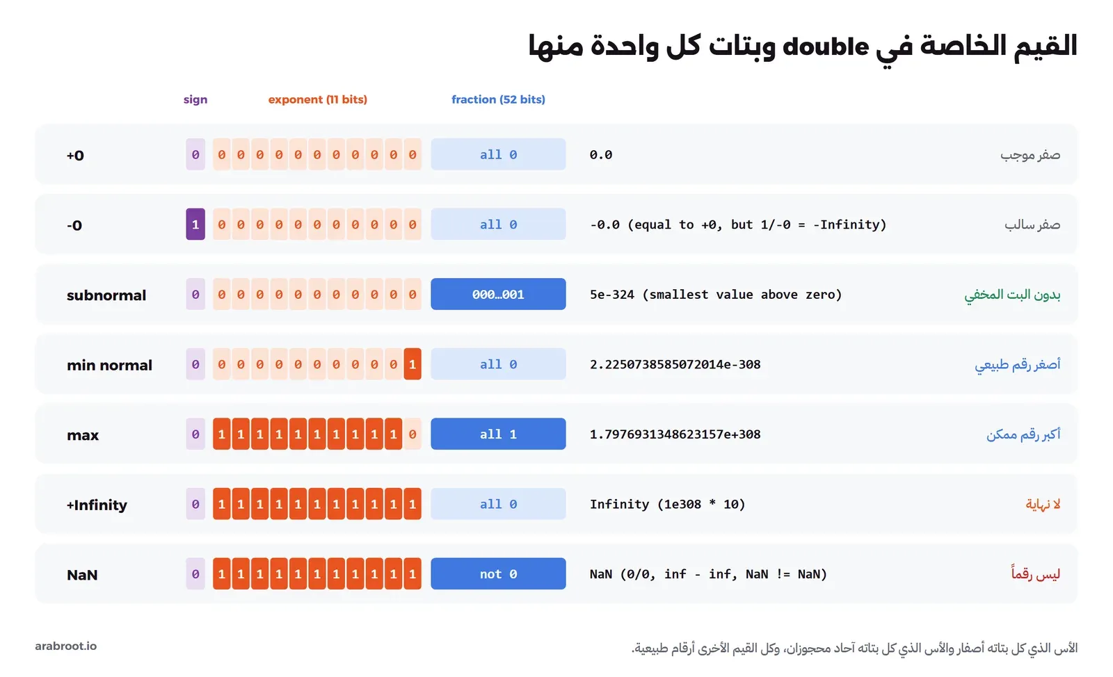 ستة صفوف من البتات: الصفر الموجب كل بتاته أصفار، والصفر السالب بت الإشارة فقط واحد، واللانهاية الأس كله آحاد والكسر أصفار، و NaN الأس كله آحاد والكسر ليس صفراً، والرقم دون الطبيعي الأس أصفار والكسر ليس صفراً وأصغره 5e-324، وأصغر رقم طبيعي 2.2e-308