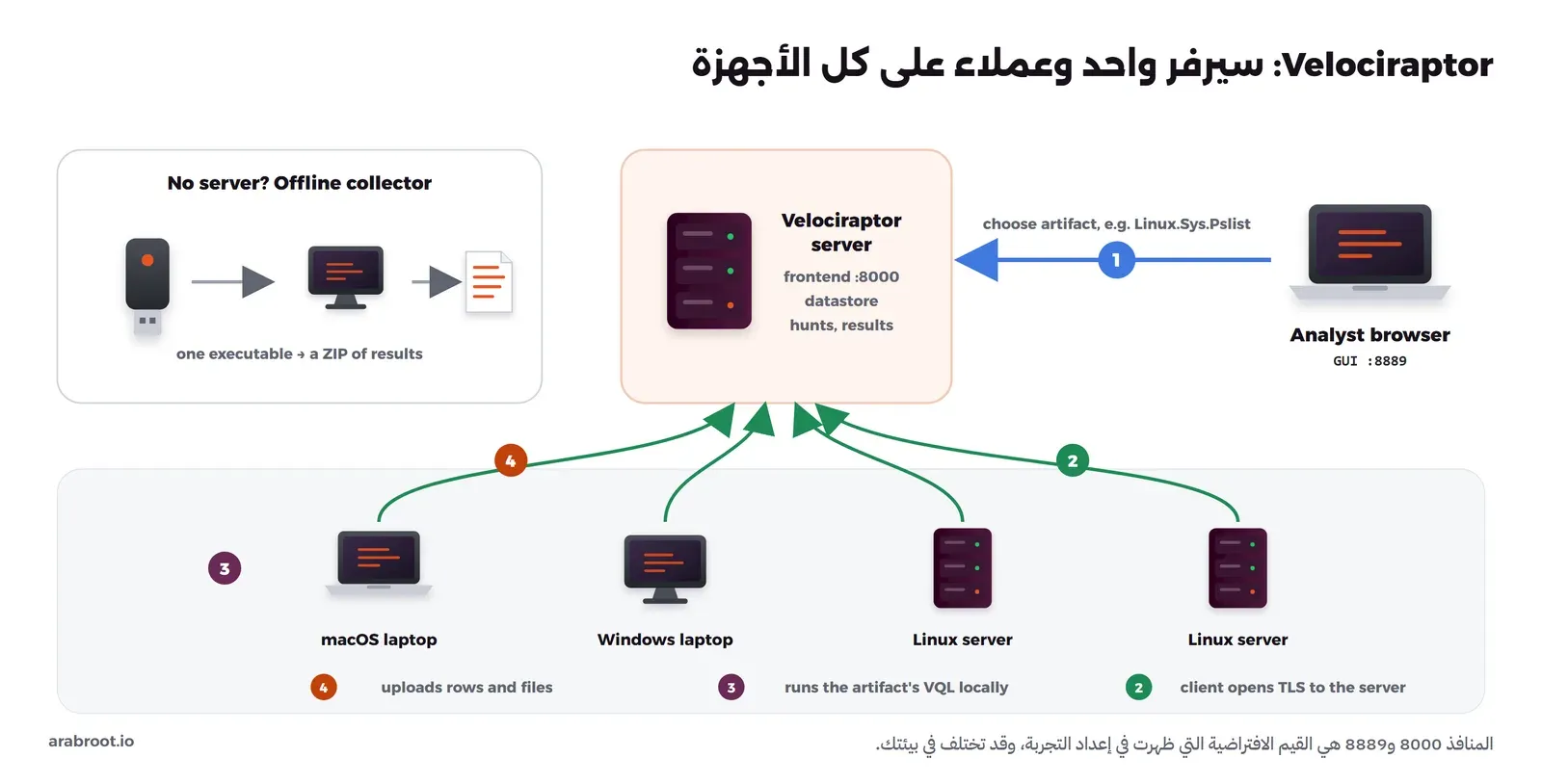 مخطط Velociraptor: المحلل يختار من المتصفح عبر الواجهة على المنفذ 8889 مجموعة جمع مثل Linux.Sys.Pslist، والسيرفر يحفظ المهمة، والعملاء على سيرفرات Linux وحاسوب Windows وحاسوب macOS يفتحون اتصال TLS إلى السيرفر على المنفذ 8000 وينتظرون، فينفذون استعلام VQL محلياً ويرفعون النتائج، وفي الزاوية جامع دون سيرفر Offline Collector يعمل من فلاشة ويخرج ملف ZIP