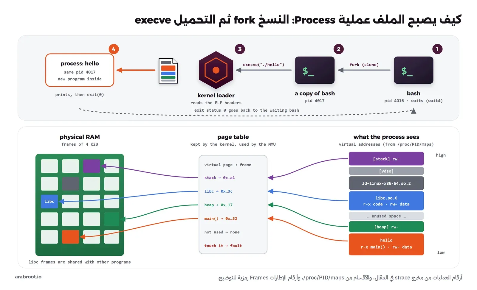 مخطط في أعلاه bash برقم 4016 تنسخ نفسها إلى عملية برقم 4017 تستدعي execve فتقرأ النواة ملف ELF وتصبح العملية برنامج hello، وفي أسفله أقسام الذاكرة الافتراضية للعملية مثل stack وlibc وheap وhello مربوطة عبر جدول الصفحات بإطارات متفرقة في الذاكرة الحقيقية