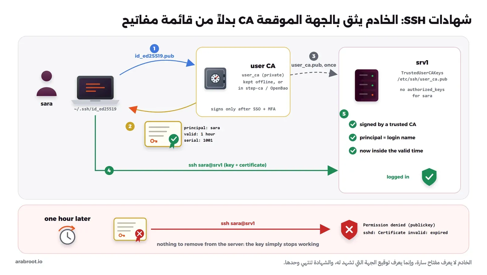 مخطط شهادات SSH: سارة ترسل مفتاحها العام id_ed25519.pub إلى جهة التوقيع user CA المحفوظة في خزنة، فتعيد لها شهادة فيها principal sara وصلاحية ساعة ورقم تسلسلي 1001، والسيرفر srv1 يحتفظ مرة واحدة بالمفتاح العام user_ca.pub في TrustedUserCAKeys ولا يوجد فيه authorized_keys لسارة، ثم تتصل سارة بالمفتاح والشهادة فيتحقق السيرفر من التوقيع والاسم والوقت ويقبل الدخول، وبعد ساعة يرفض الشهادة نفسها برسالة Certificate invalid: expired