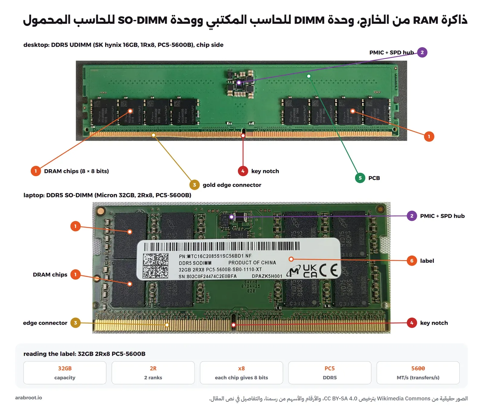 صورتان حقيقيتان: في الأعلى وحدة ذاكرة DDR5 UDIMM خضراء طويلة عليها ثماني شرائح سوداء في مجموعتين وفي وسطها مجموعة صغيرة من القطع، وفي الأسفل وحدة SO-DIMM أقصر عليها ملصق Micron، وعلى الصورتين أرقام تشير إلى شرائح DRAM ومنطقة PMIC وSPD Hub والموصل الذهبي وفتحة المفتاح واللوحة والملصق، وفي الأسفل شرح لكتابة الملصق 32GB 2Rx8 PC5-5600B