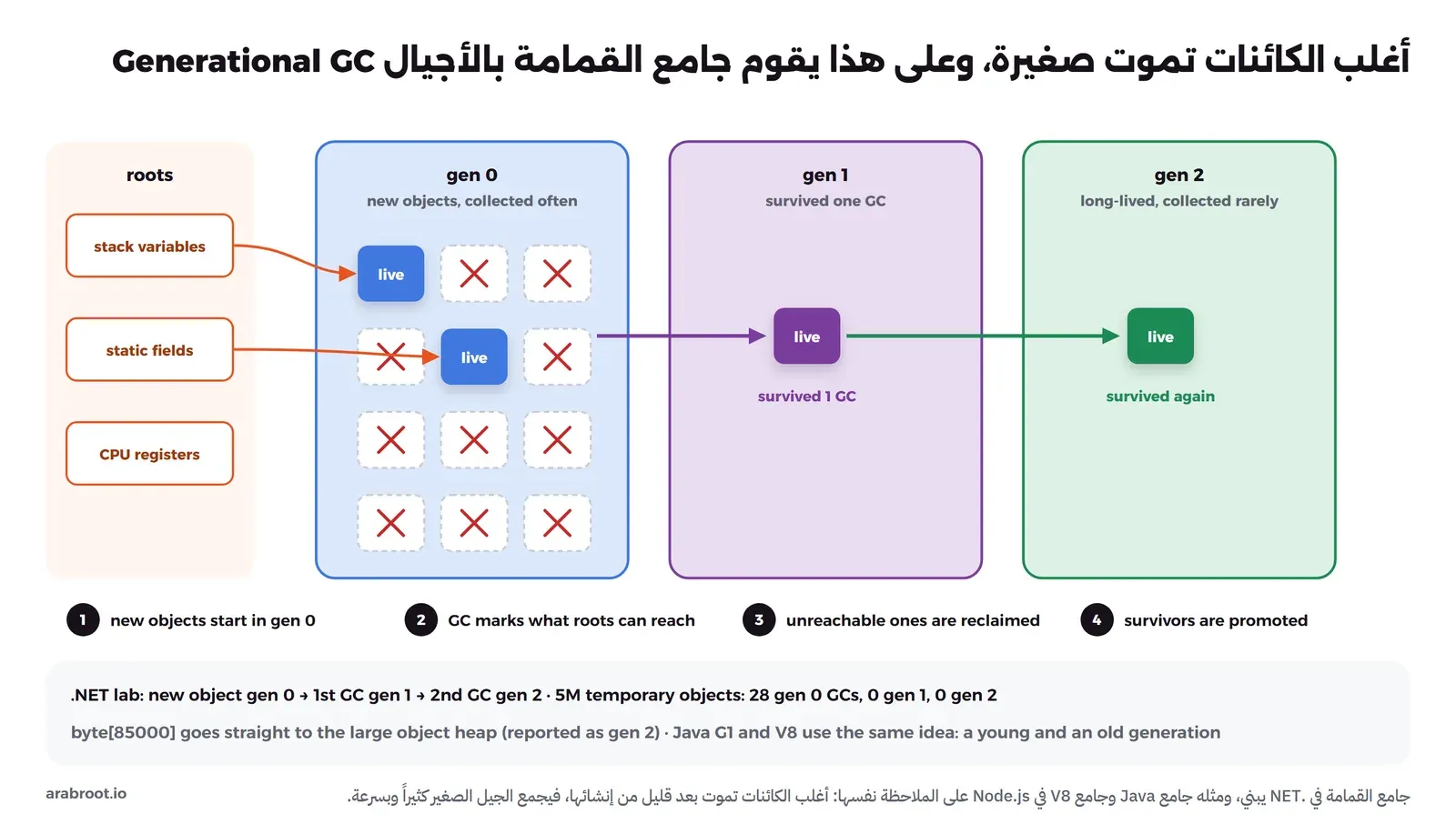 على اليسار الجذور: متغيرات ال Stack والحقول الثابتة والمسجلات، تشير بأسهم إلى كائنين حيين في صندوق gen 0 بينما بقية الكائنات فيه عليها علامة خطأ حمراء، ثم سهم من الكائن الناجي إلى gen 1 ثم إلى gen 2، وتحتها أربع خطوات مرقمة وصف أرقام التجربة