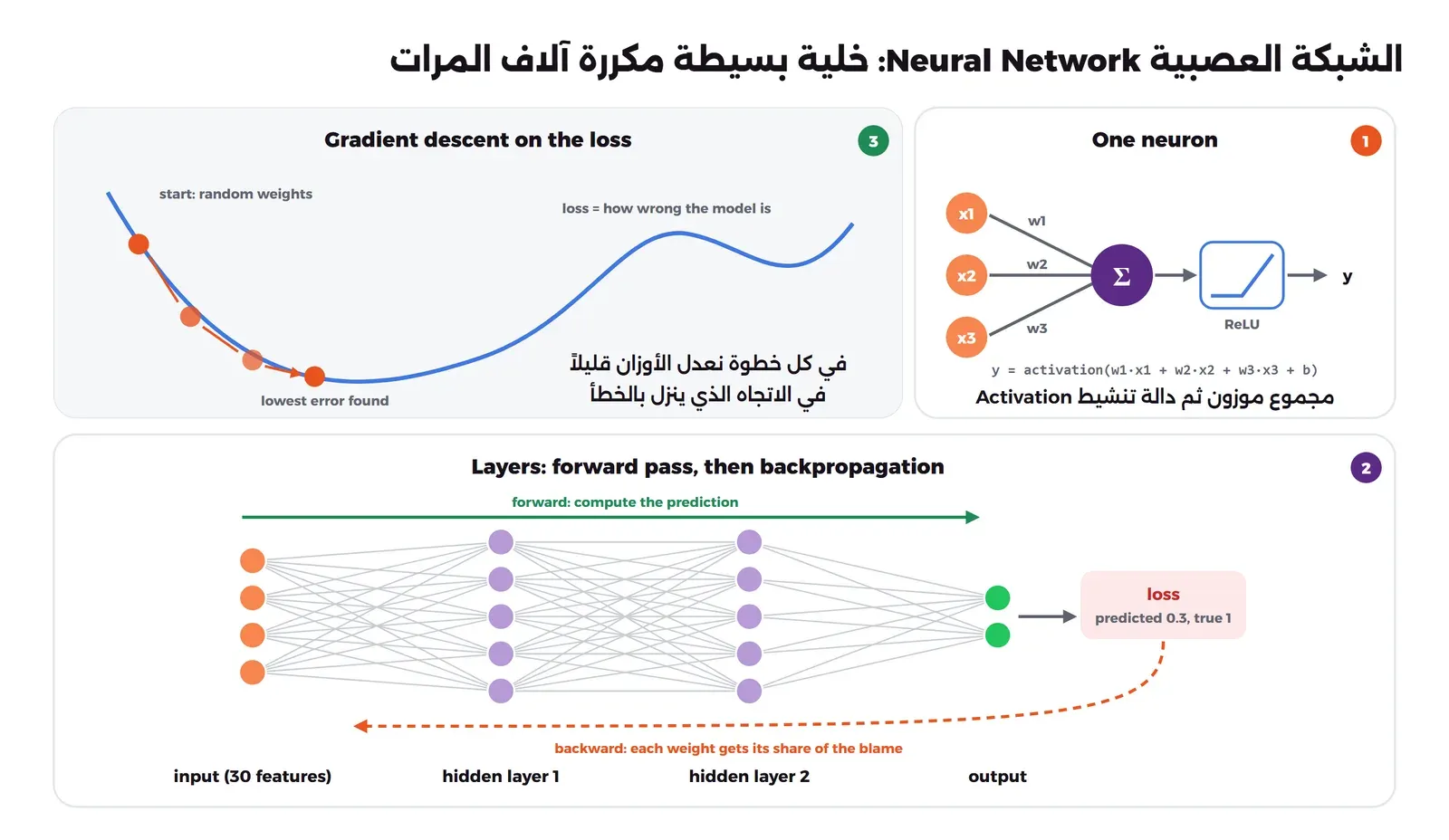 في اليمين خلية عصبية واحدة: ثلاثة مدخلات x1 وx2 وx3 بأوزان w1 وw2 وw3 تدخل إلى مجموع Σ ثم دالة ReLU فتخرج y، وفي اليسار منحنى خطأ أزرق تنزل عليه كرة برتقالية من بداية عشوائية إلى أقل خطأ، وفي الأسفل شبكة من طبقة مدخلات وطبقتين مخفيتين وطبقة مخرجات، وسهم أخضر للأمام لحساب التوقع، ثم صندوق loss، وسهم برتقالي متقطع يعود للخلف لتوزيع اللوم على الأوزان
