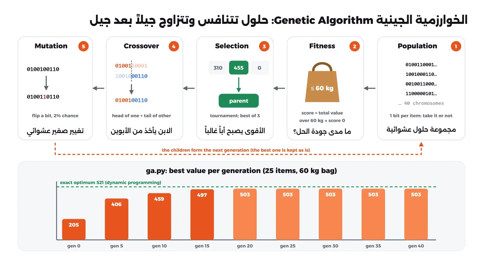 خمس بطاقات مرقمة: Population فيها كروموسومات من أصفار وآحاد، ثم Fitness مع حقيبة سعتها 60 كيلو، ثم Selection تختار الأفضل من ثلاثة 310 و455 و0 فيصبح 455 أباً، ثم Crossover تأخذ رأس الأب الأول وذيل الثاني، ثم Mutation تقلب بتاً واحداً، وسهم يعيد الأبناء إلى الجيل التالي، وفي الأسفل أعمدة لأفضل قيمة في كل جيل من التجربة: 205 ثم 406 ثم 459 ثم 497 ثم 503 حتى الجيل 40، وخط أخضر للحل الأمثل 521