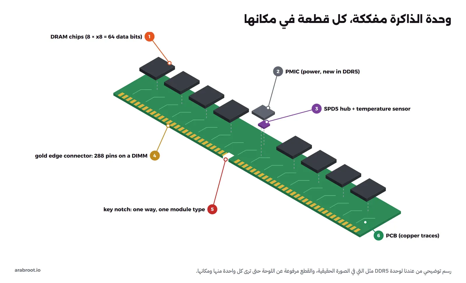 رسم أيزومتري لوحدة ذاكرة خضراء طويلة وفوقها ثماني شرائح سوداء مرفوعة بخطوط متقطعة تبين مكانها، وفي الوسط قطعة PMIC رمادية وقطعة SPD5 Hub بنفسجية، وعلى الحافة الأمامية أطراف ذهبية مع فتحة المفتاح، وستة أرقام تشرح كل جزء