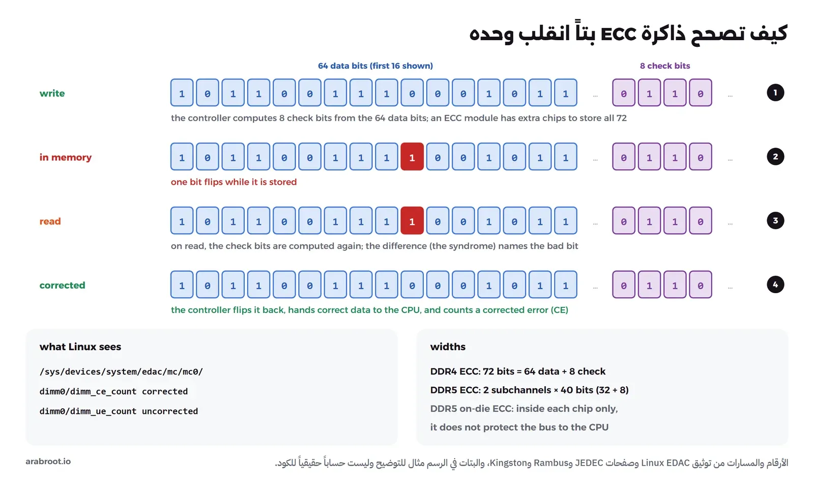 أربعة صفوف مرقمة من البتات الزرقاء للبيانات والبنفسجية للتحقق: الكتابة، ثم في الذاكرة حيث ينقلب بت واحد إلى الأحمر، ثم القراءة حيث يحسب المتحكم بتات التحقق من جديد ويعرف البت الخاطئ، ثم البيانات بعد التصحيح، وفي الأسفل مسارات Linux EDAC وعرض الكلمة في DDR4 وDDR5