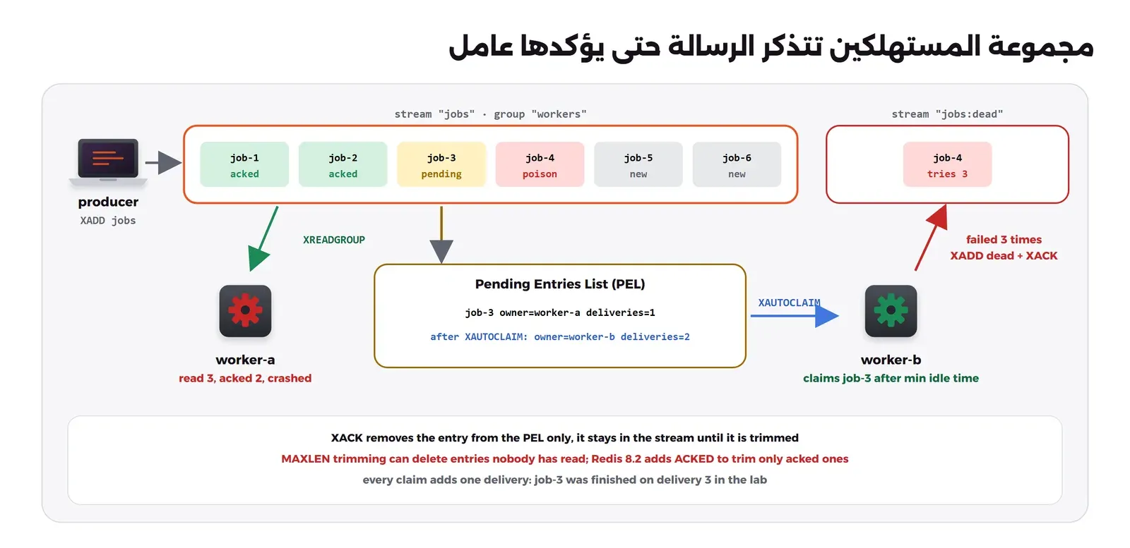 تدفق jobs فيه ست رسائل، ومجموعة workers فيها last-delivered-id. العامل worker-a يأخذ job-1 وjob-2 وjob-3 بالأمر XREADGROUP ويؤكد اثنتين ثم يتوقف، فتبقى job-3 في ال PEL مع owner worker-a وdeliveries 1. العامل worker-b يستعمل XAUTOCLAIM بعد مهلة فيصبح مالكها ويزيد العداد. والرسالة job-4 تفشل ثلاث مرات فتنقل إلى التدفق jobs:dead وتؤكد