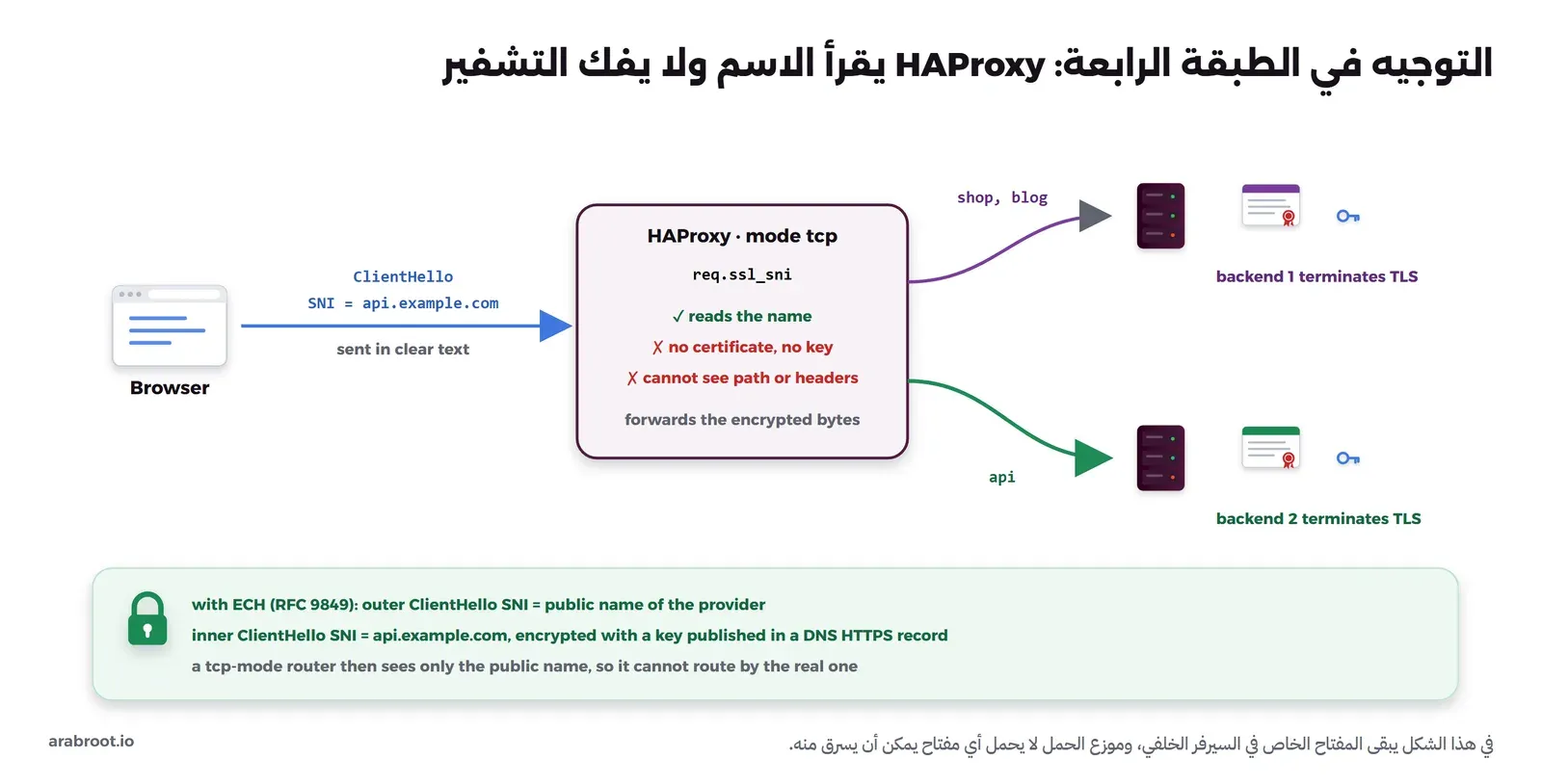 متصفح يرسل ClientHello مع SNI = api.example.com دون تشفير إلى HAProxy في وضع mode tcp، فيقرأ الاسم عبر req.ssl_sni ولا يملك شهادة ولا مفتاحاً ولا يرى المسار، ويمرر البايتات المشفرة إلى السيرفر الخلفي الأول لـ shop وblog أو الثاني لـ api، وكل سيرفر خلفي يحمل شهادته ومفتاحه. وفي الأسفل مربع عن ECH: الرسالة الخارجية تحمل الاسم العام للمزود والداخلية تحمل الاسم الحقيقي مشفراً بمفتاح منشور في سجل HTTPS في DNS