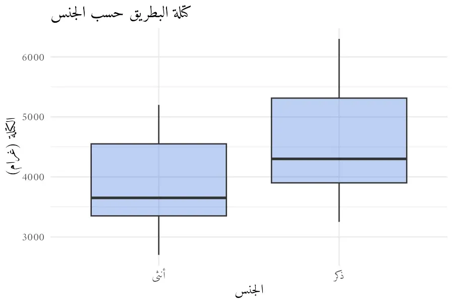 رسم صندوقي من ggplot2 لكتلة البطريق حسب الجنس، والعنوان والمحاور وأسماء الفئتين أنثى وذكر مكتوبة بالعربية بحروف متصلة وصحيحة بخط Amiri