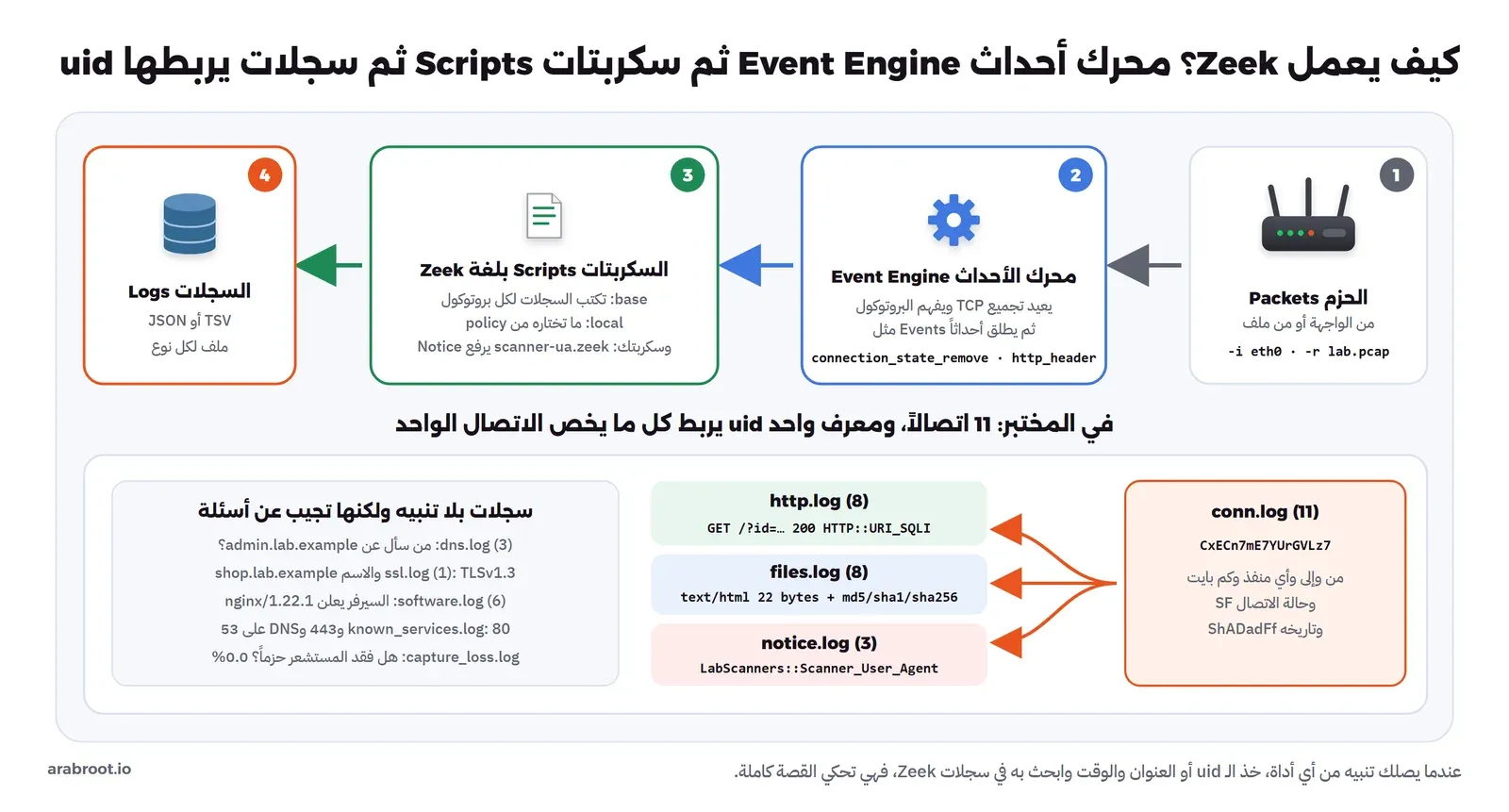 أربع مراحل: الحزم من الواجهة أو من ملف، ثم محرك الأحداث Event Engine الذي يعيد تجميع TCP ويفهم البروتوكول ويطلق أحداثاً مثل connection_state_remove وhttp_header، ثم السكربتات base وlocal وسكربتنا scanner-ua.zeek، ثم السجلات. وفي الأسفل conn.log بأحد عشر اتصالاً ومعرف CxECn7mE7YUrGVLz7 يرتبط بأسطر في http.log وfiles.log وnotice.log، وبجانبها سجلات dns وssl وsoftware وknown_services وcapture_loss